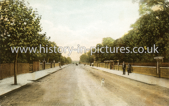Cambridge Park, Wanstead, London. c.1906.